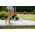ERGO tuin douchebak - CELLFAST - 