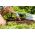 Small garden fork - PASTEL - pastel sky-blue - CELLFAST