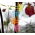 Cleme colorate orhidee - fluture - 10 buc - 