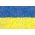 Ukrainian Flag - a set of seeds of two flowering plant varieties