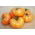 Tomato "Orange Wellington" - orange, greenhouse variety
