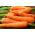 Zanahoria - Senior F1 - Daucus carota - semillas