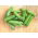 Cucumber "Iznik F1" - salad variety for cultivation in pots - 7 seeds