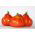 Tomate - Corazon F1 - Lycopersicon esculentum Mill  - semillas