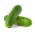 Cucumber "Aston F1" - parthenocarpic variety for cultivation under covers
