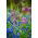 Cabeza de serpiente + jacinto de uva - Set 75 uds. - 