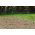 Túnel de agricultura - lámina 2 x 5 m - 