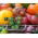 Tomato fantasy - Set no. 1 - Seeds of 8 varieties