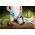 Set completo di attrezzi da giardino - PASTELLO - azzurro pastello - CELLFAST - 