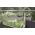 Hangende plantenpot "Boardee Hook" - 14,4 cm - steengrijs - 