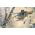 Стіл для птахів / піднос для годування Birdyfeed Double - для підвішування на лінії або гілки - антрацито-сірий - 