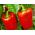 BIO Paprika - Zertifiziertes Bio-Saatgut