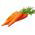 Wortel "Jagna" - varietas awal - SEED TAPE - Daucus carota ssp. sativus  - biji