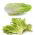 Chicory - set of seeds of 4 vegetable plants' varieties