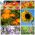Happy garden - set of seeds of 14 plants' species that children can grow