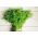 Укроп - Moravan - 100 грамм -  Ageratum graveolens - семена