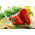 Ardei dulce "Mercedes" - varietate roșie, medie timpurie, cu conținut ridicat de vitamina C. -  Capsicum annuum - Mercedes - semințe