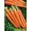 Carrot 'Afro' - medium late, recommended for storage