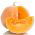 Obří squash 'Yellow Melon' - 100 g -  Cucurbita maxima - semena