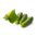 Field cucumber "Ares" - medium late variety