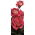 Storblomsteret rose - cremet-hvid-pink - potteplante - 