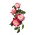 Storblomsteret rose - lyserød-hvid - potteplante - 