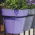 Cesto triplo "Ibiza" in metallo + set di tre contenitori rotondi per vasi - 16 cm - mirtillo-viola - 
