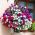 Cesta colgante de flores con esterilla de fibra de coco - 30 cm - 