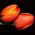 Tulipa Orange - Tulip Orange - 5 bulbs