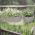 Hangende plantenpot "Boardee Hook" - 14,4 cm - steengrijs - 