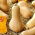 Насіння Баттерната Сквош - Cucurbita maxima - 16 насінин - Cucurbita moschata - насіння