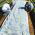 Springfleece (agrotextile) - plantebeskyttelse til sunde afgrøder - 3,20 mx 20,00 m - 