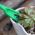 Pricking out tool set