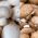 Champiñón común - 10 kg - blanco&marrón - Agaricus bisporus