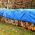 Dekzeil - 10 x 12 m - blauw - 