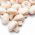 Champignon de Paris - 3l - branco - Agaricus bisporus