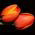 Tulip Orange - paket besar! - 50 pcs - 
