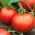 Tomato - Tigerella - Bold Striped Beauty, Eye-Catching Fruit - Fresh Seeds