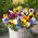 Viola del pensiero gigante - Miscuglio - Viola × wittrockiana - Petali grandi decorativi e commestibili - Semi Freschi