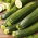 Courgette, Zucchini - Zuboda - Early, High-Yield Variety - Fresh Seeds