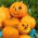 Ornamental Pumpkin - Halloween - Best for Sculpting - Fresh Seeds