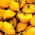 Yellow Patty Pan Squash seeds - Cucurbita pepo - 28 seeds