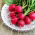 Radieschen "Riesenbutter" - rot - 770 Samen