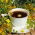 Thee Middag Herb Mix zaden - 