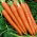Carrot 'Afro' - medium late, recommended for storage