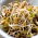 Spiring frø - foryngende blanding - 