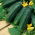 Cucumber "Nadusha F1" - field, pickling, Dutch variety - 40 seeds