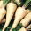 Parsley 'Jagienka' - medium early, for early harvest