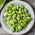 BIO Broad bean - benih organik bersertifikat; kacang fava, kacang kuda - Vicia faba L. - biji