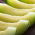 Melon - Seledyn F1 - 30 frø - Cucumis melo L.